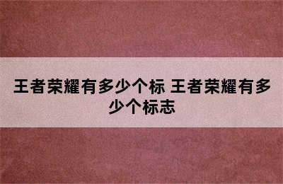 王者荣耀有多少个标 王者荣耀有多少个标志